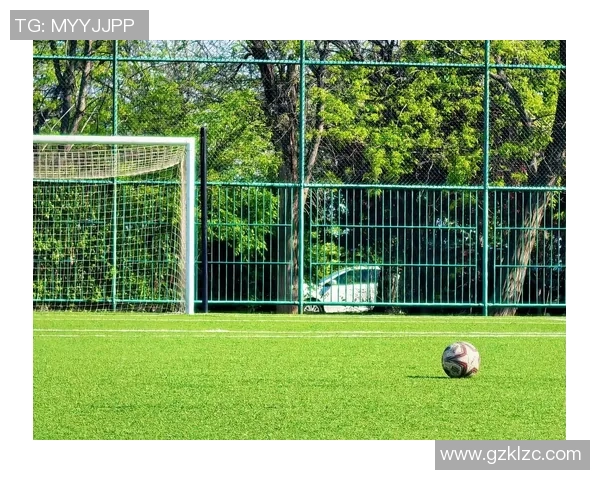 足球场边的NBA球星身份揭秘他们为何出现在绿茵场上